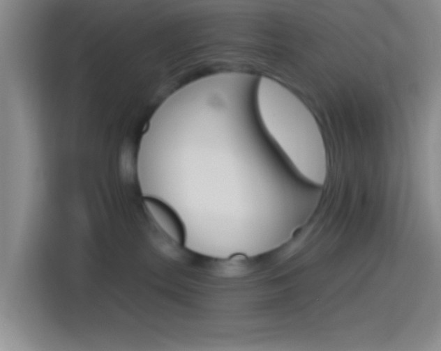 X0000114400287200910231115