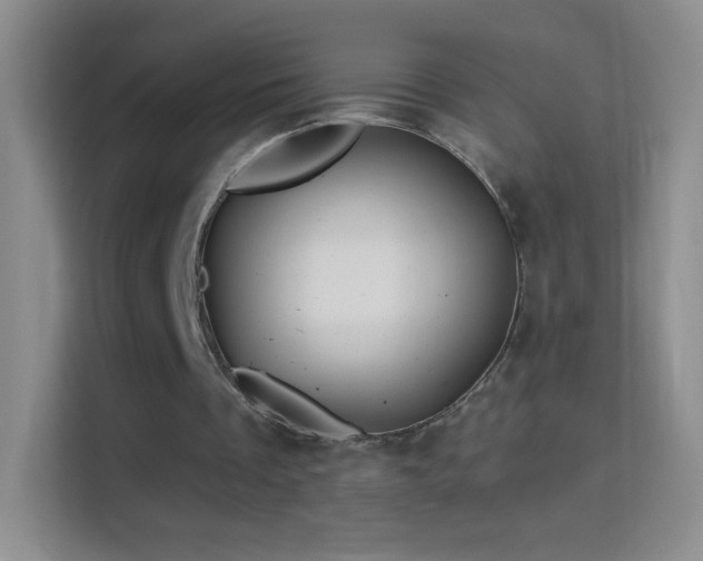 X0000114400289200910231115