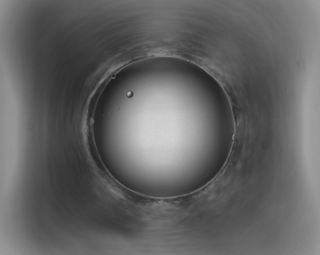 X0000114400290200910231115