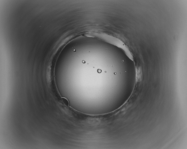 X0000114400291200910231115