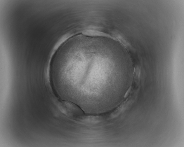 X0000114400292200910231115