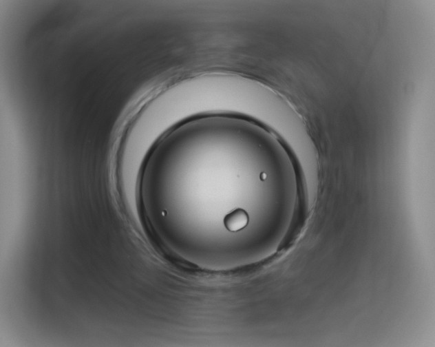 X0000114400293200910231115