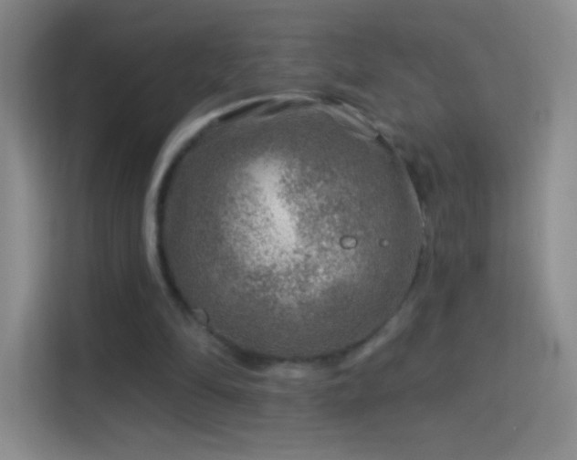 X0000114400294200910231115