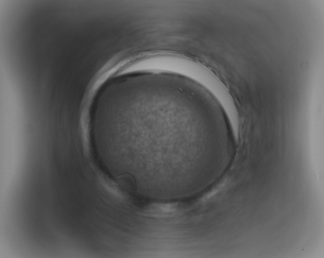 X0000114400295200910231115