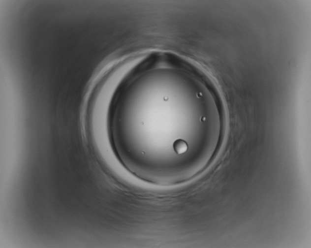 X0000114400296200910231115