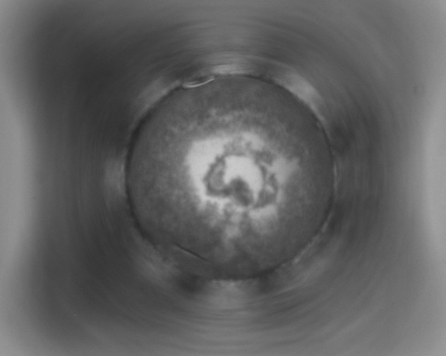 X0000114400297200910231115