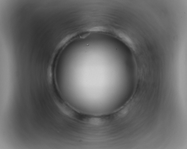 X0000114400298200910231115