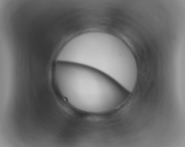 X0000114400299200910231115