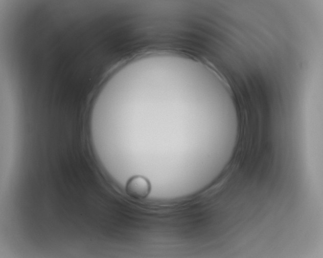 X0000114400301200910231115