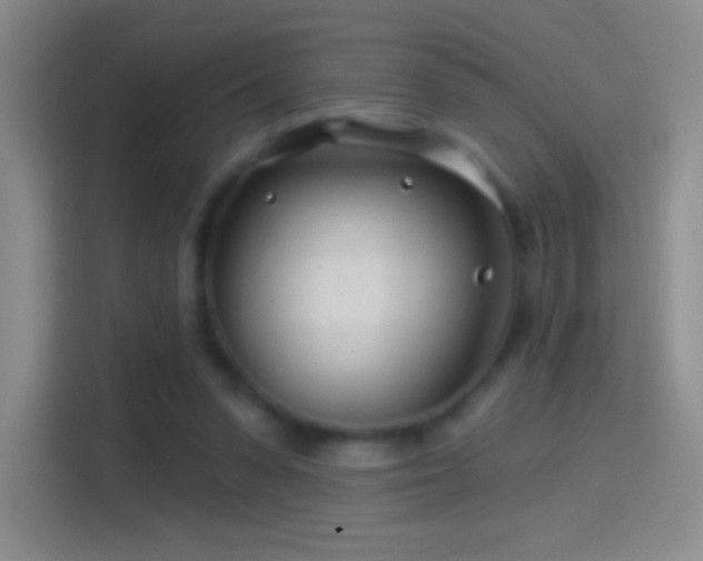 X0000114400303200910231115