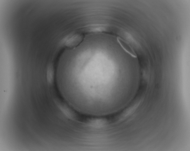 X0000114400304200910231115