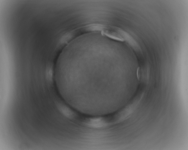 X0000114400309200910231115