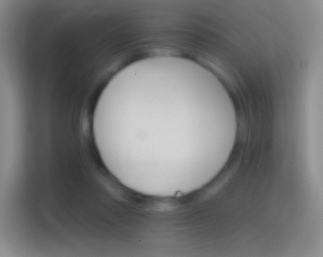 X0000114400310200910231115