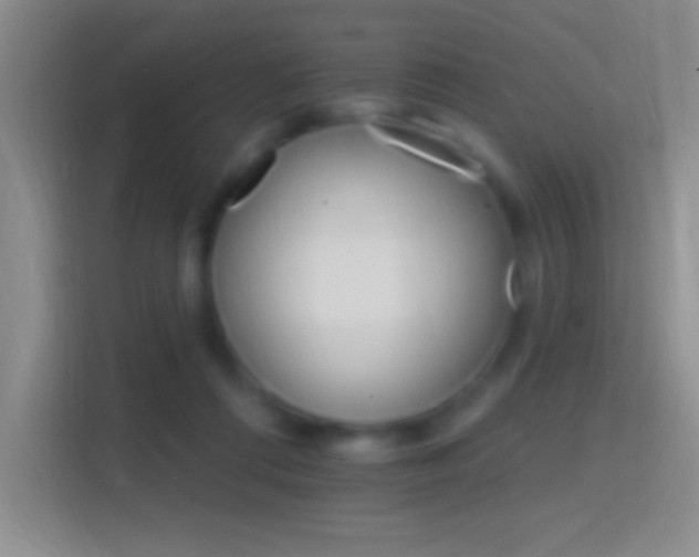 X0000114400312200910231115