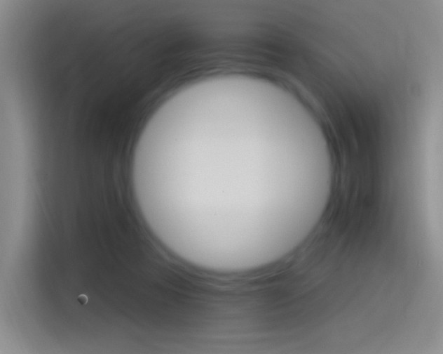 X0000114400313200910231115