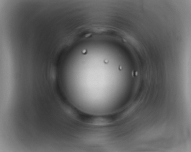 X0000114400315200910231115