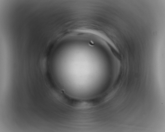 X0000114400319200910231114