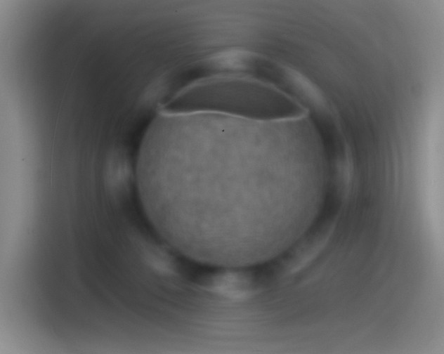 X0000114400320200910231114