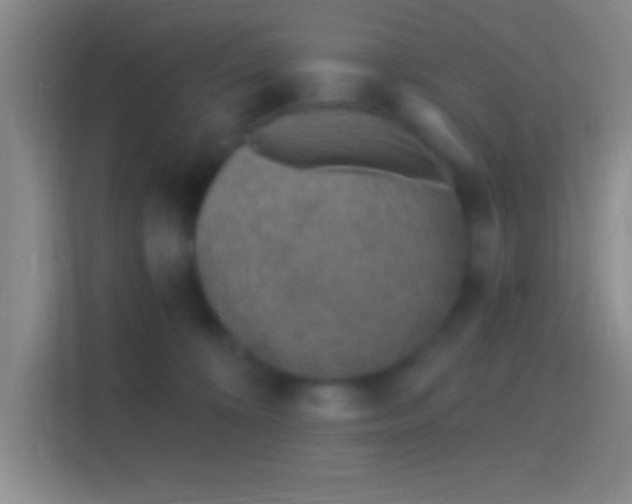 X0000114400324200910231114