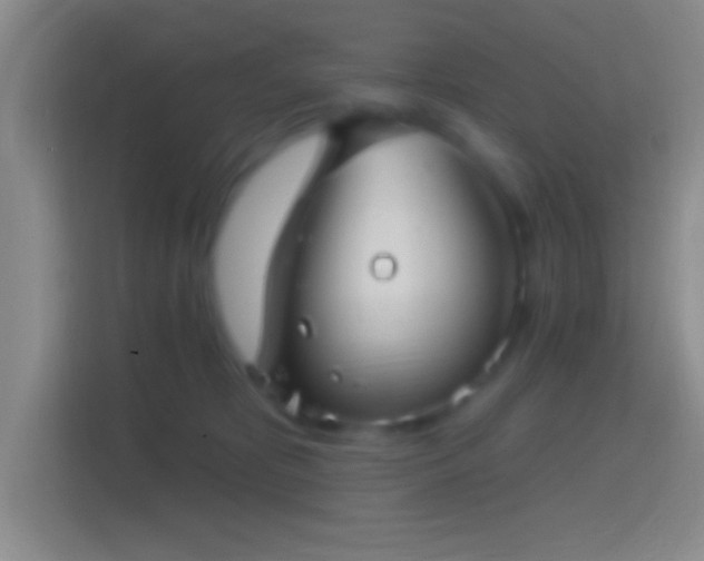 X0000114400325200910231114