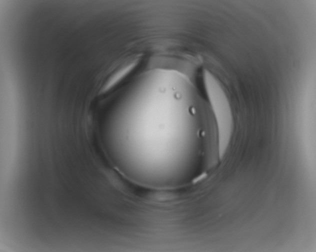 X0000114400327200910231114