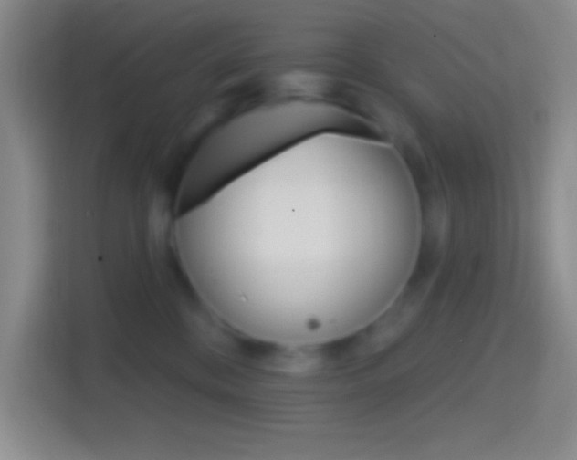 X0000114400328200910231114