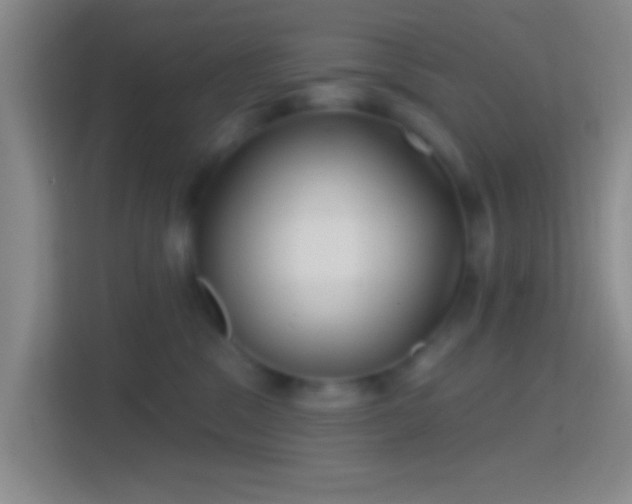 X0000114400329200910231114