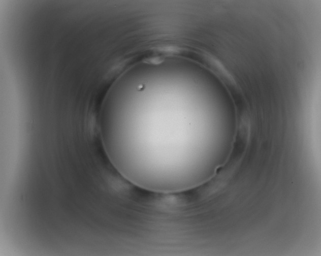 X0000114400330200910231114