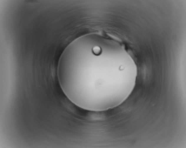 X0000114400331200910231114