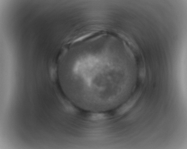 X0000114400332200910231114