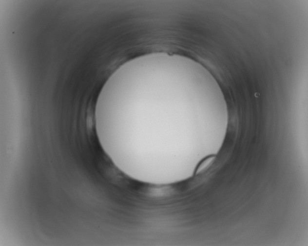 X0000114400334200910231114