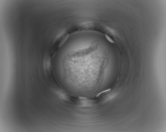 X0000114400336200910231114