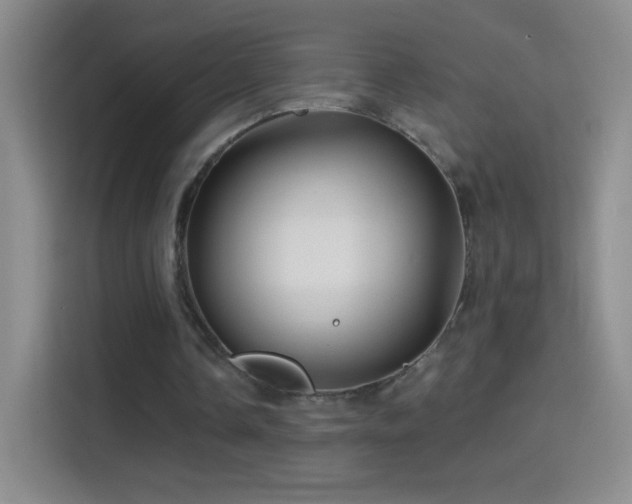 X0000114400338200910231114