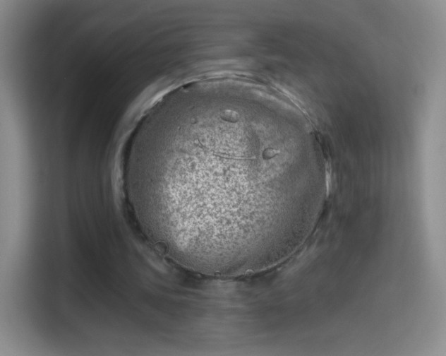 X0000114400339200910231114