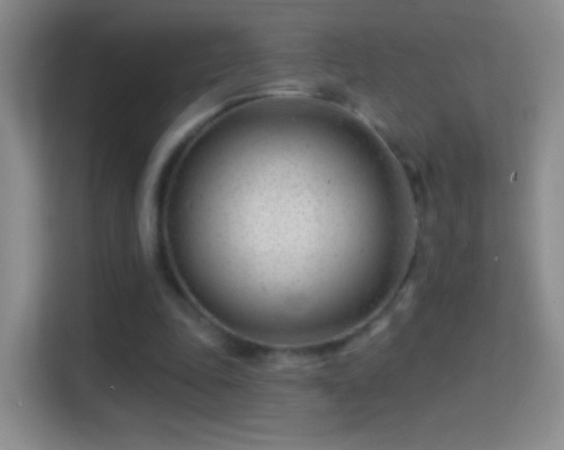 X0000114400343200910231114