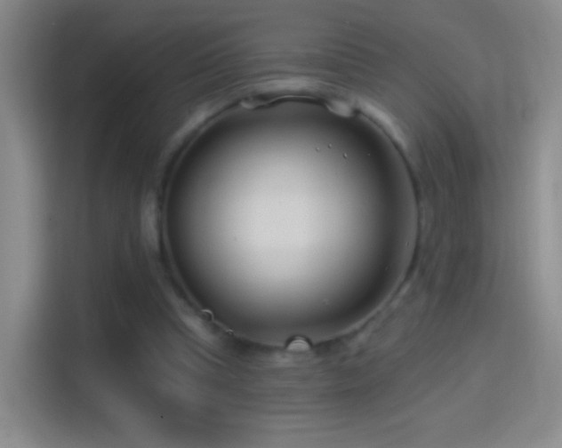 X0000114400345200910231114