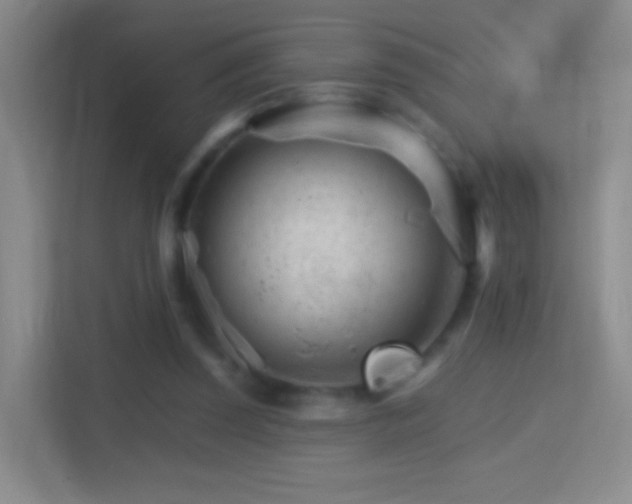 X0000114400347200910231114