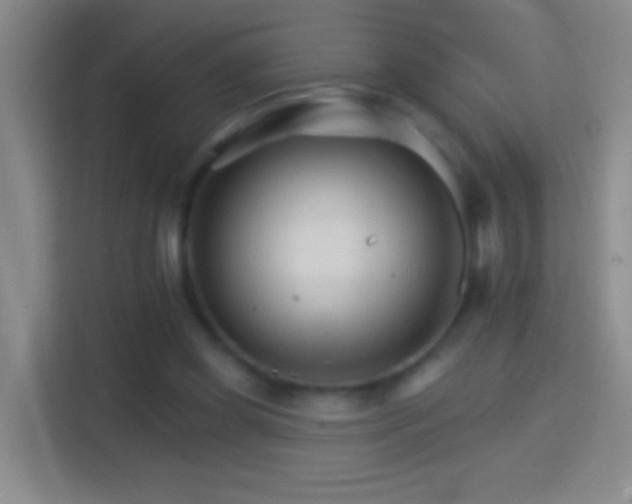 X0000114400349200910231114