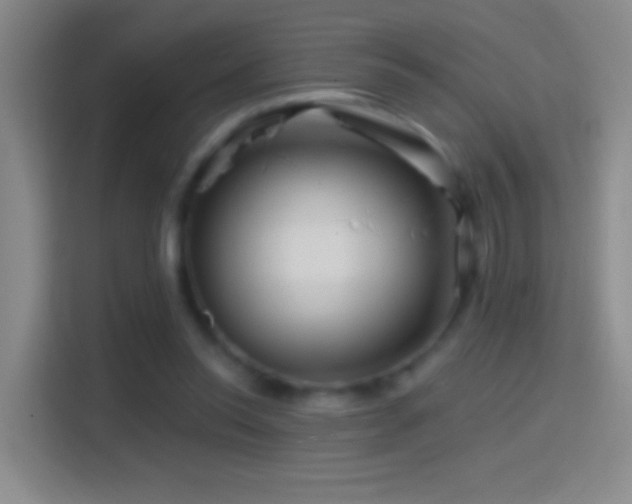 X0000114400350200910231114