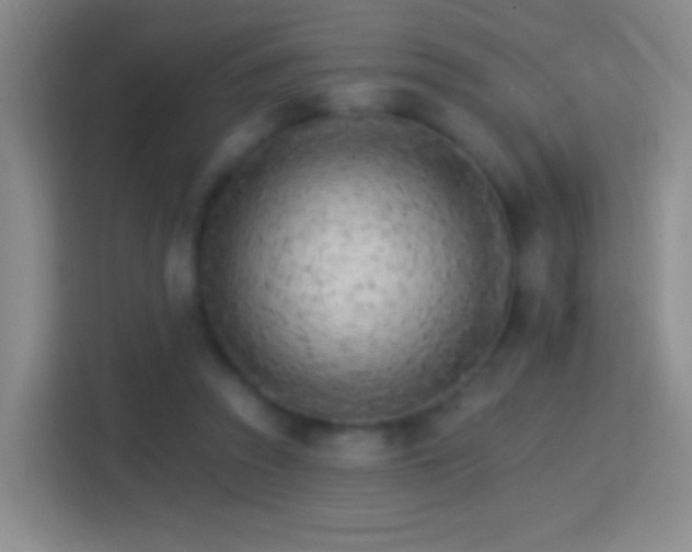 X0000114400353200910231114