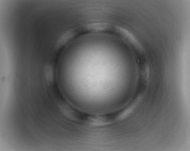 X0000114400359200910231114