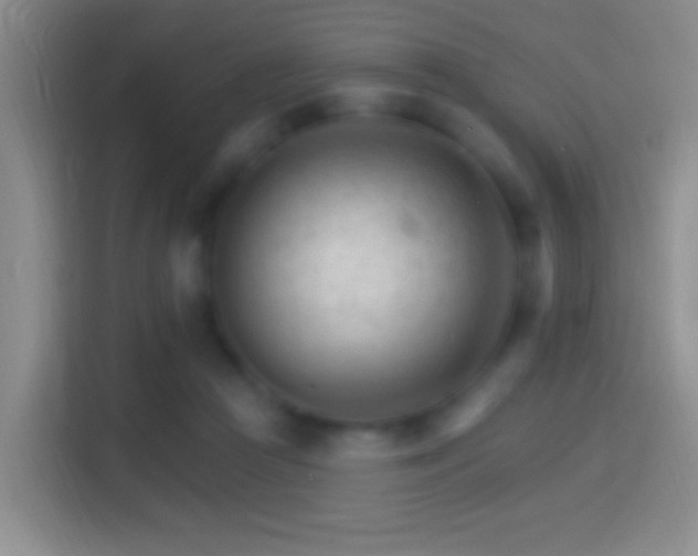 X0000114400361200910231114