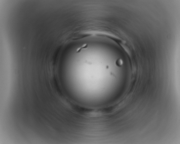 X0000114400366200910231114