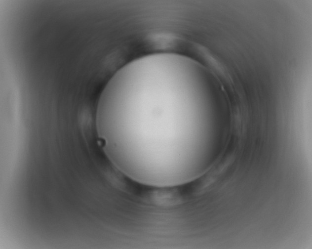 X0000114400373200910231114