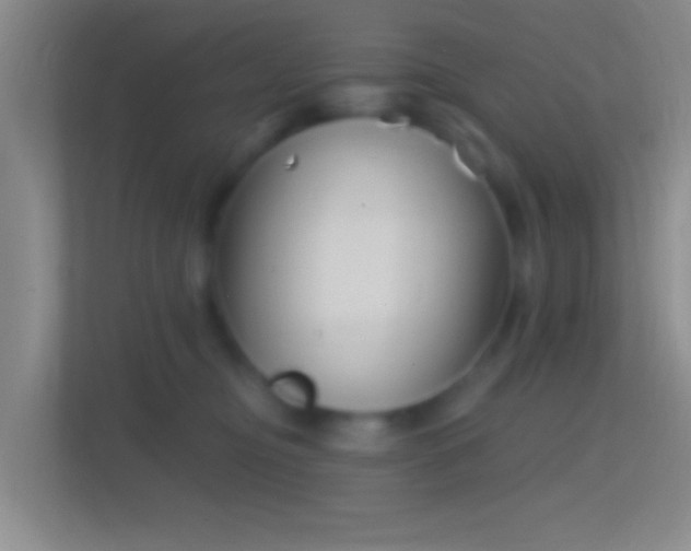 X0000114400374200910231114