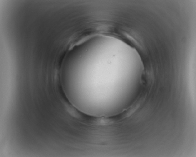 X0000114400379200910231114