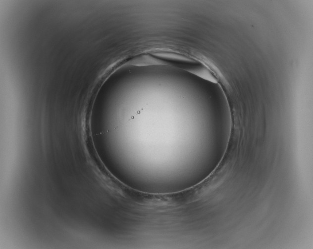 X0000114400386200910231114