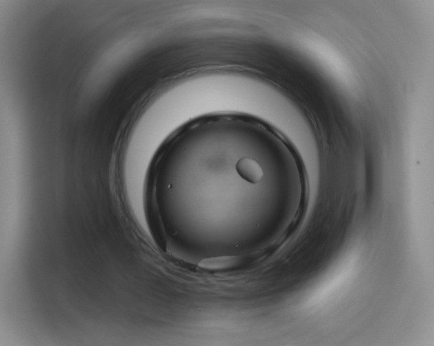 X0000114400387200910231114