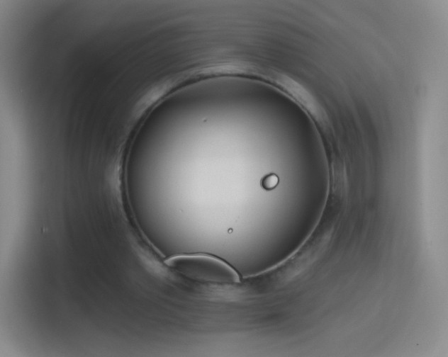 X0000114400389200910231114