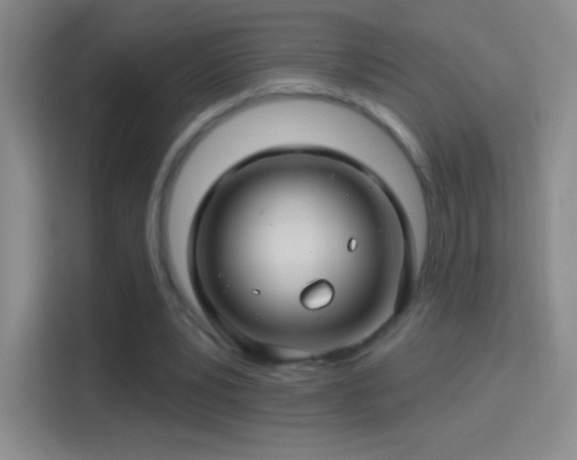 X0000114400391200910231114